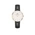 Kép 1/3 - Daniel Wellington Classic Petite Sheffield női karóra DW00100174