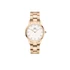 Kép 1/6 - Daniel Wellington Iconic Link női karóra DW00100213