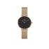 Kép 1/5 - Daniel Wellington Petite Melrose női karóra DW00100217