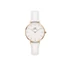Kép 1/5 - Daniel Wellington Classic Petite Bondi női karóra DW00100249