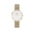 Kép 1/7 - Daniel Wellington Petite Evergold női karóra DW00100348