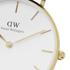 Kép 4/7 - Daniel Wellington Petite Evergold női karóra DW00100348