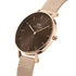 Kép 2/4 - Daniel Wellington Petite Amber női karóra DW00100477