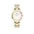 Kép 1/5 - Daniel Wellington Iconic Link női karóra DW00100565