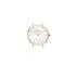Kép 4/6 - Daniel Wellington Petite Lumine női karóra DW00100594