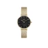 Kép 1/5 - Daniel Wellington Petite Lumine női karóra DW00100595